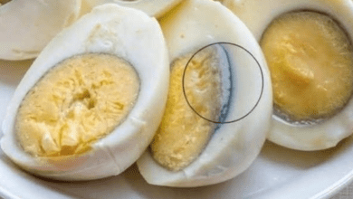 Design sem nome 2026 04 02T193342.379