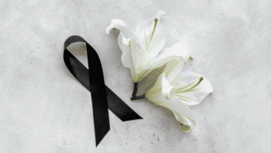 Design sem nome 2026 04 25T074458.430