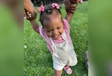 WhatsApp Image 2026 04 06 at 07.43.50.jpeg