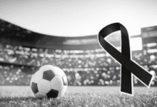 imagem 2026 03 29 092647959 750x430 2