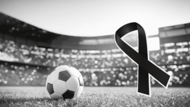 imagem 2026 03 29 092647959 750x430 2