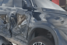 imagem 2026 04 28 120346016