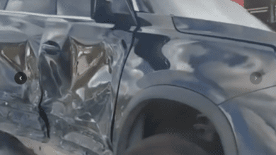 imagem 2026 04 28 120346016