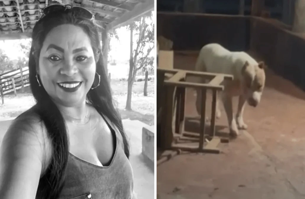 Caso Maria José: vídeo mostra exato momento que seu esposo chega ao local, ele arranc0u sua…Ver Mais