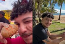 688571348 1369444725203725 8071980642806276626 n