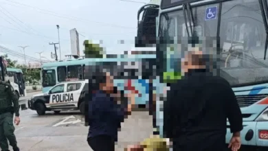 atropelamento