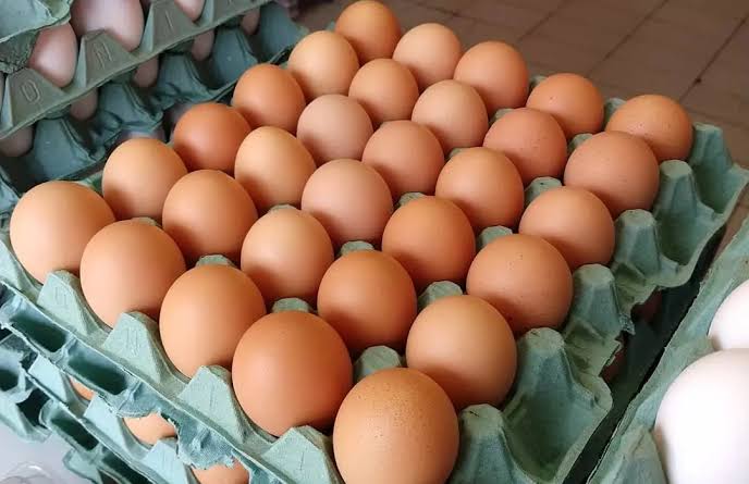Médicos revelam que comer ovos de manhã causa…Ver mais