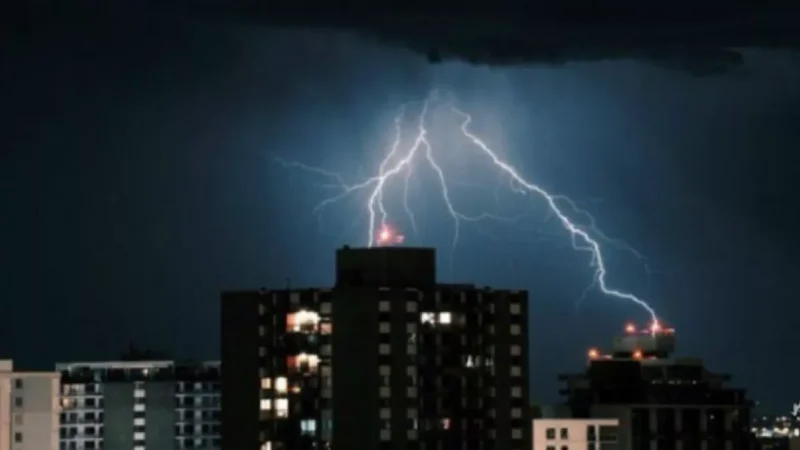 Torcedor Registrou Essa Foto E Viu…Ver Mais